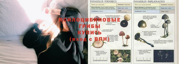 гидра Алзамай