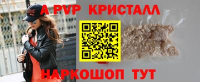 гидра Тара