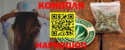 гидра Тара