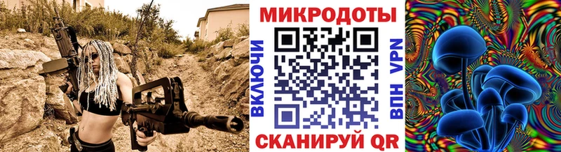 Галлюциногенные грибы Psilocybe  Троицк 