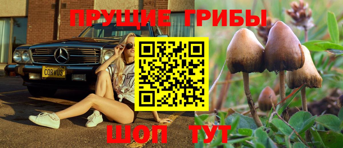 Псилоцибиновые грибы мухоморы Троицк