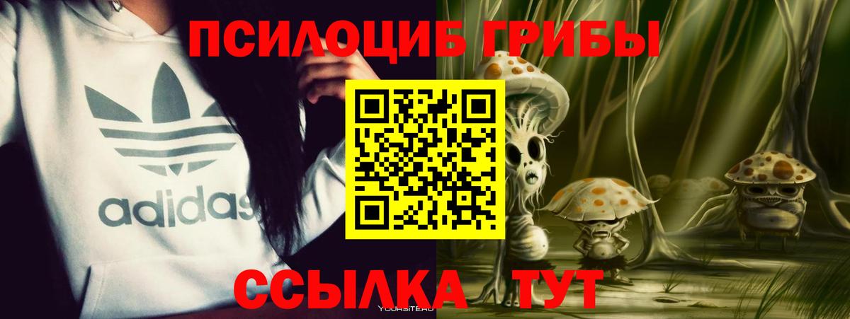 Троицк  где можно купить   Вход с VPN  Псилоцибиновые грибы прущие грибы 